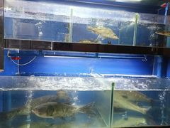 -李东农庄(中南百草园地标店)