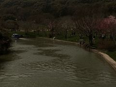 -苏州上方山国家森林公园