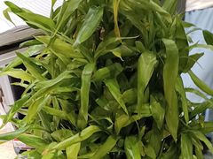 -苏浙汇(肇嘉浜路总店)