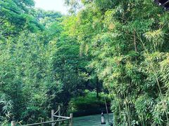 -法云安缦酒店