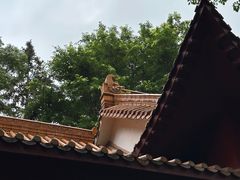 -深圳仙湖植物园