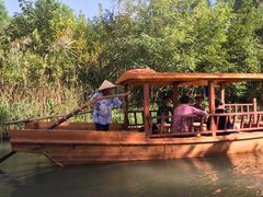 -溱湖国家湿地公园