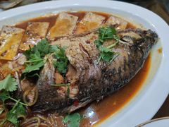 庆岭炖活鱼-福春居饺子楼(创业路店)