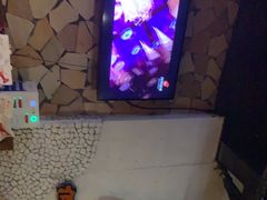 -何师烧烤Pro ·江湖川菜·小龙虾·精酿(太古里旗舰店)