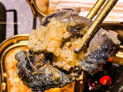 -Darling Queen·Mini·Live·House