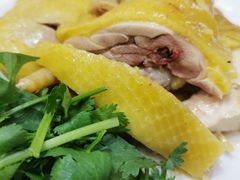 正宗湛江鸡-瑞记湛江鸡饭店·粤西第一鸡(粤垦店)