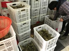 -璐坊粽王(复兴中路店)