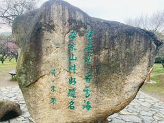 -香雪海