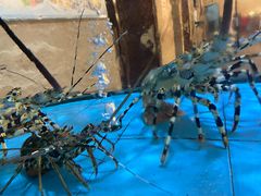 -国龙大酒店-中餐厅