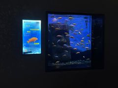 -南昌融创海世界