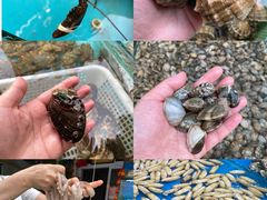 -桔子海鲜烧烤大排档(台东店)