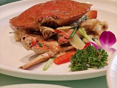 -城北食府(枫林店)