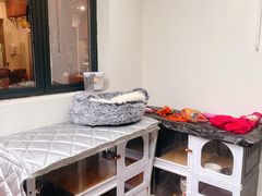 -老地方猫儿面(磁器口店)