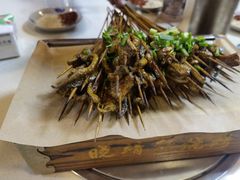 -晓靖轩烧烤(沙河风情店)