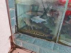 -山坑河鲜(昆仲楼店)