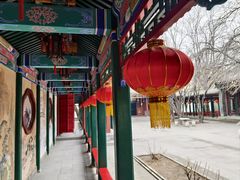 -荣国府