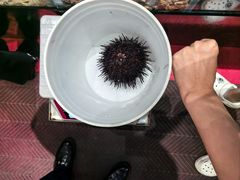 -金太阳海鲜烧烤·本地人餐厅(星海公园店)