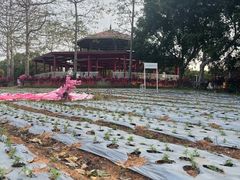 -光明农场大观园