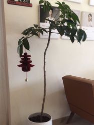 -思怡瑜伽·普拉提·减脂塑形