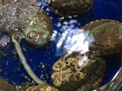 -三亚新鸿港水果一级批发市场