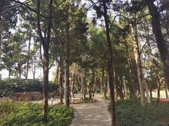 -嘉定紫藤园