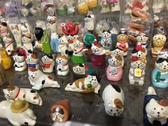 -猫咪博物馆(顶澳仔猫街店)