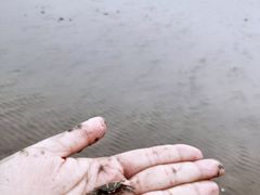 -奉贤海滩