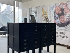 -大视光学•LINDBERG林德伯格•全球手工眼镜集合店(王府井店)