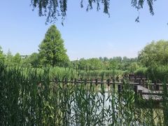 -沙家浜风景区