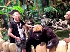 -济州岛泰迪熊博物馆