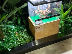 -昆明大悦城未来动物城(螺蛳湾中心店)