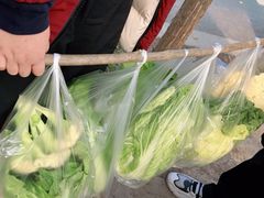 -前小桔亲子创意农场·草莓采摘·露营烧烤