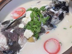 -全乐鱼馆·淳牌有机鱼直营店