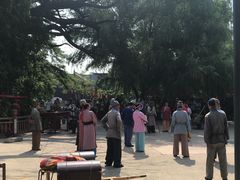 -大槐树寻根祭祖园