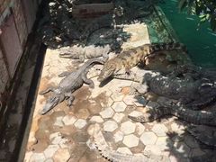 -洞里萨湖