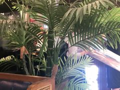 -新辣道鱼火锅(西直门店)