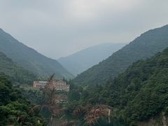 -天目山大树王景区