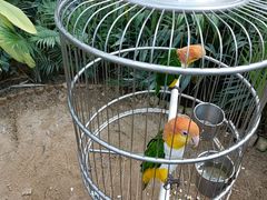 -南宫五洲植物乐园