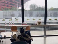 -赛卡联盟卡丁车馆(上海世博店)