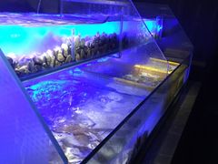 -星伦多自助料理·涮烤一体(嘉兴八佰伴店)