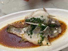 -新天明砂锅鱼头煲