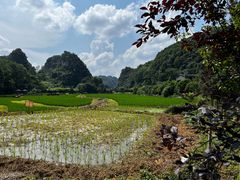 -高荡千年布依古寨旅游景区