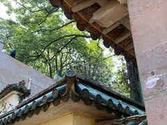 -昆明动物园