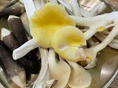 -菌小白·野生菌火锅(时尚天河店)