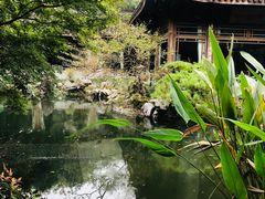 -乾园.魏庐湖景餐厅(花港店)
