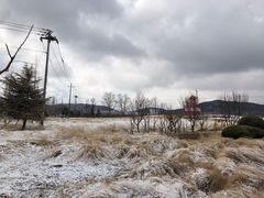 -羊亭河湿地公园