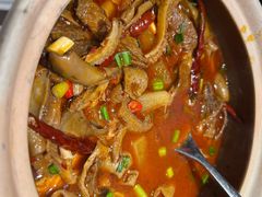 酸辣 牛肚-匠熙小馆(崇文门店)