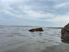 -深圳湾公园(南山区)