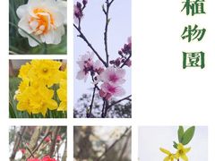 -杭州植物园