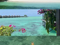 -卡帕莱度假村(西巴丹岛)